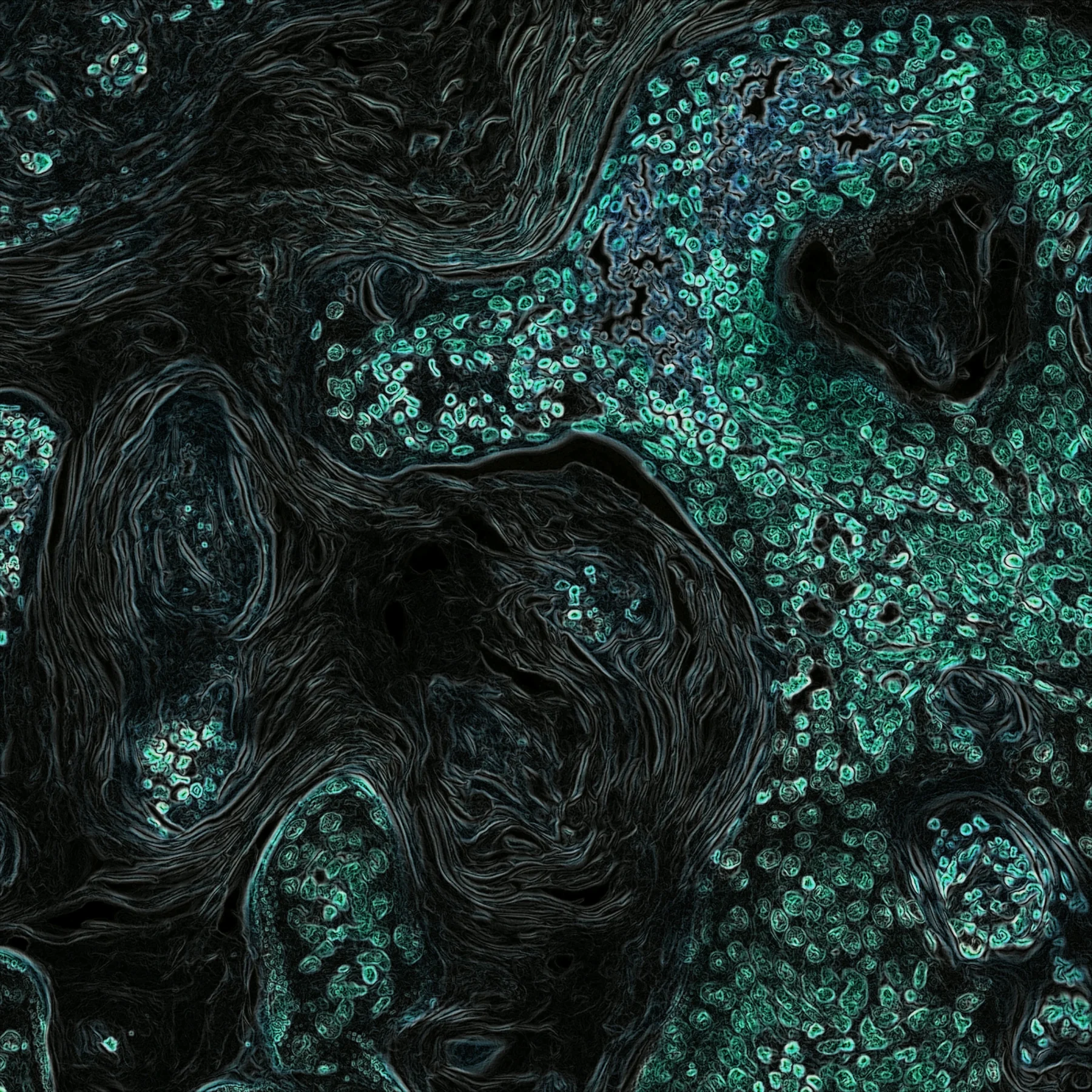 turquoise-cells